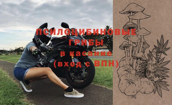 МДПВ Михайловск