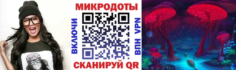 Галлюциногенные грибы Psilocybine cubensis  Воронеж 