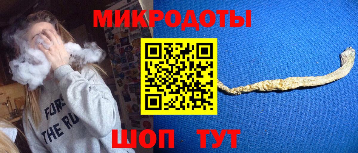 Псилоцибиновые грибы Psilocybine cubensis Воронеж