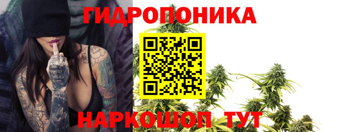 Марихуана семена Воронеж